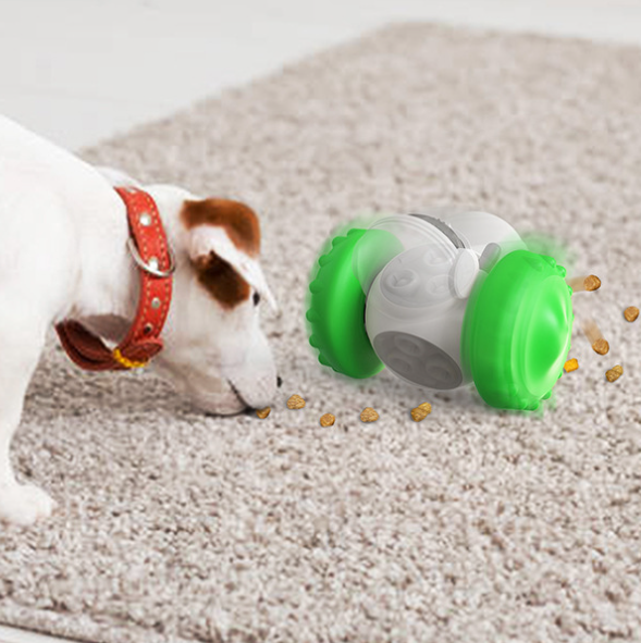 🚗🐾 "Pawsome Playtime: Cat and Dog Interactive Balance Car Toy!" 🐱🐶