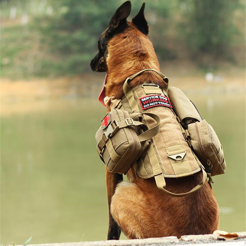 🐾💪 "Gear Up Your Pup: IHRTrade Tactical Dog Harness - Ready for Any Mission!" 💪🐾