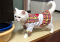 🌟🐱 "Fashion Forward Felines: Thin Cute Shirt Cat Dress - Dress Up Your Kitty in Style!" 🐱🌟