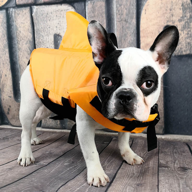 🦈🌊 "Safety First, Fun Always: Summer Shark Pet Life Jacket for Water Adventures!" 🐾☀️