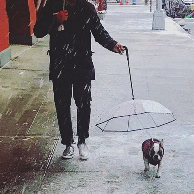 ☔🐾 "Stay Dry Together: Transparent Pet Umbrella - Rainy Day Essential for Happy Walks!" 🐾☔