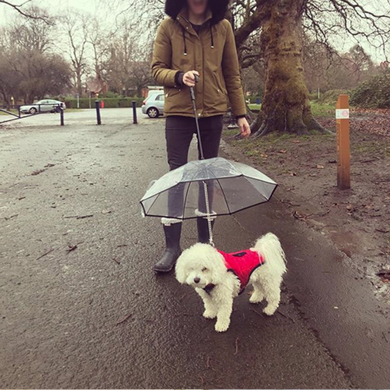 ☔🐾 "Stay Dry Together: Transparent Pet Umbrella - Rainy Day Essential for Happy Walks!" 🐾☔