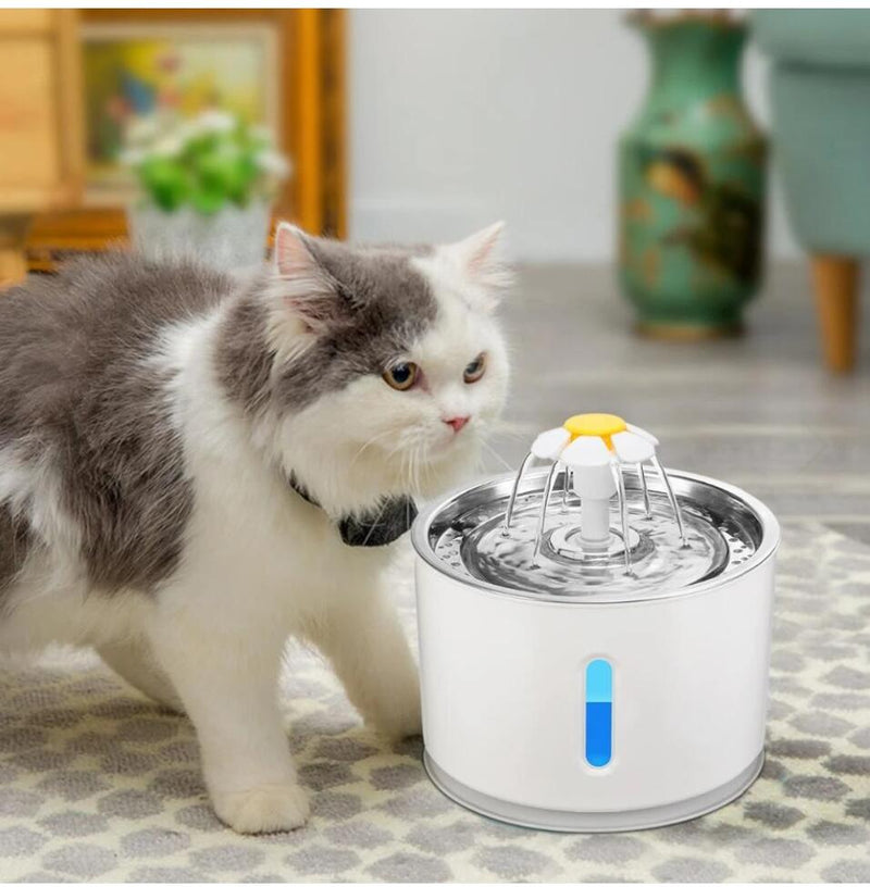 💧🐱 "Illuminate Hydration: Automatic Pet Cat Water Fountain with LED Lighting!" 🌟