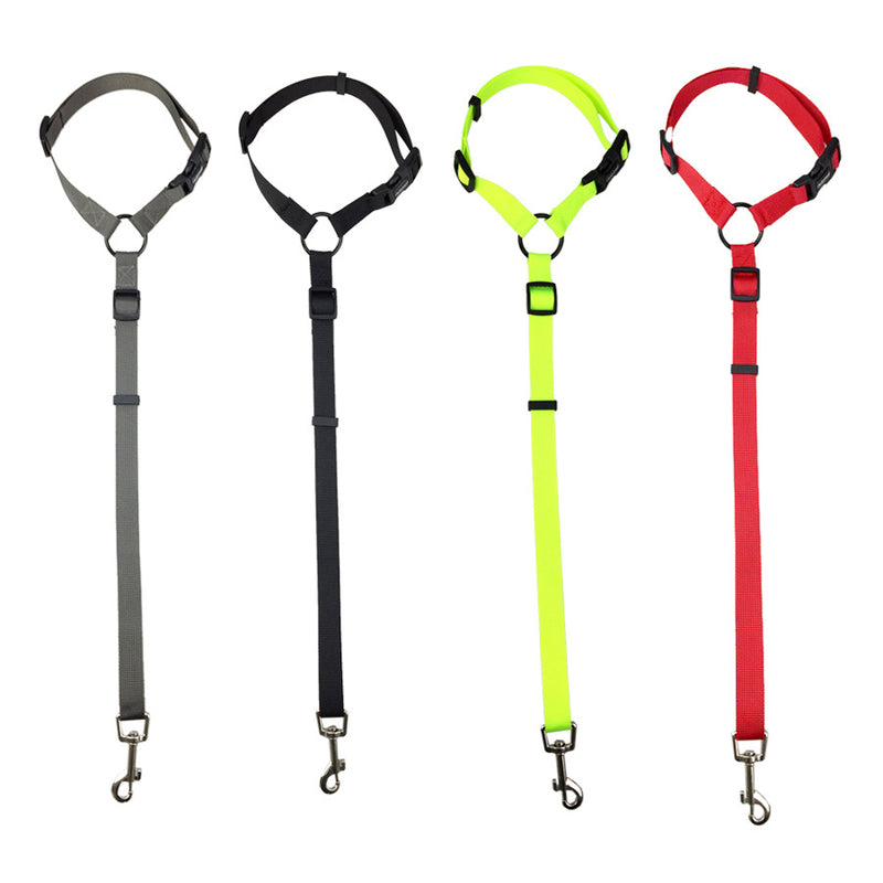 🐾✨ "Secure Adventures: Pet Safety Leash - Keep Your Furry Friend Safe!" ✨🐾