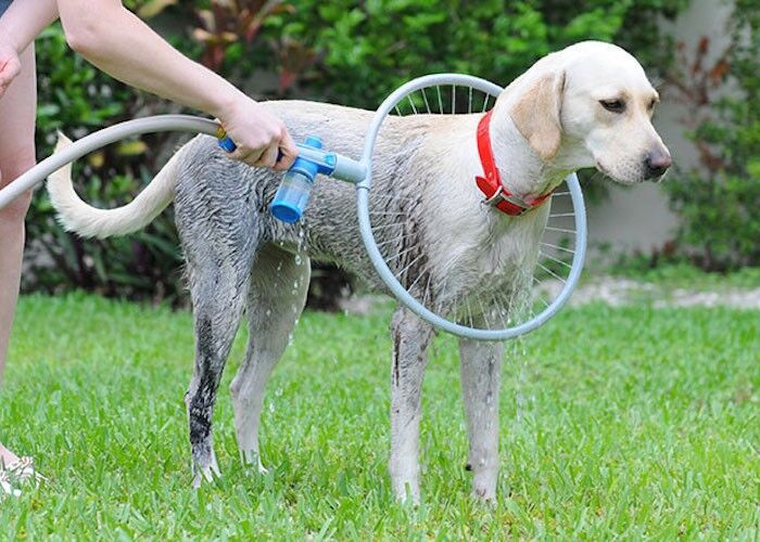 🚿🐾 "Revolutionize Pet Bath Time: Fully Automatic 360-Degree Pet Supplies Bath Ring!" 🐾🚿