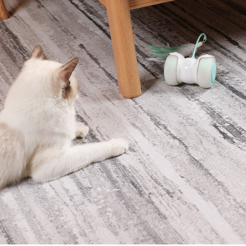 🐱💡 "Chase & Glow: LED Feather Cat Toy - Interactive Fun for Feline Friends!" 💡🐱