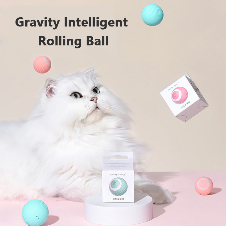 🐱🔮 "Cat Gravity Ball: Unleash Endless Feline Fun!" 🌟🌀