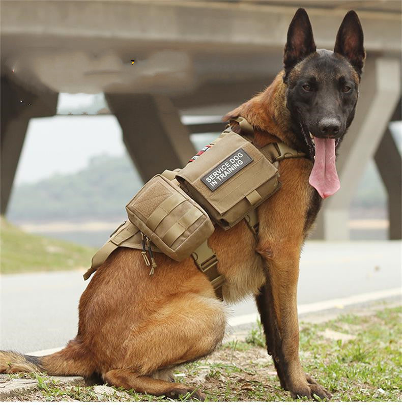 🐾💪 "Gear Up Your Pup: IHRTrade Tactical Dog Harness - Ready for Any Mission!" 💪🐾